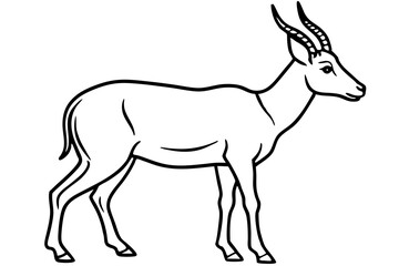 Wildlife Saiga Antelope Vector