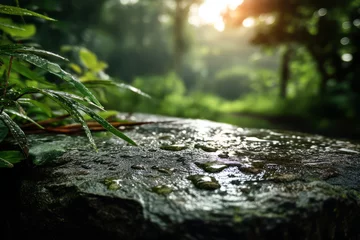 Rain drops on stone surface in tropical forest
