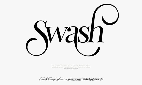 Stylish Swash Typeface for Luxury Branding and Elegant Typography Decorative and Fancy Font