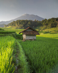 rural landscape in the mountains