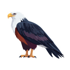 Obraz premium Vector illustration of African Fish Eagle eagle bird majestic vector