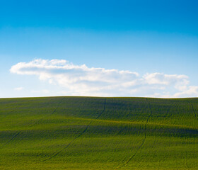 horizontal landscape of rolling hills of lush green grass blue sky and white clouds in sky tractor tire lines in the grass or hay made by calendar format spring summer outdoor field of crops on farm 