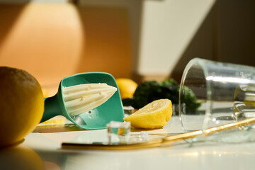 Lemon and lime preparation with fresh herbs for summer drink, Making a refreshing summer drink.