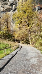 road in autumn to winter