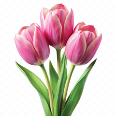 realistic 3d bouquet of three yellow tulips close up isolated on white background