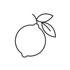 lemon or lime outline vector icon on white background