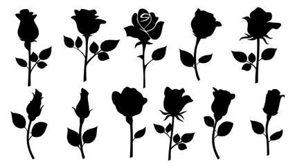 set of rose with leaves silhouette vector on white background