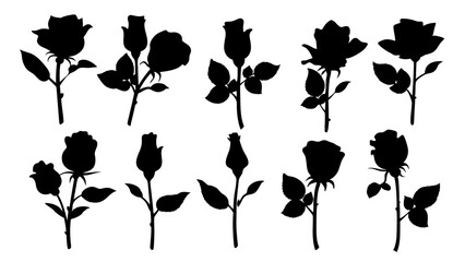 set of rose with leaves silhouette vector on white background