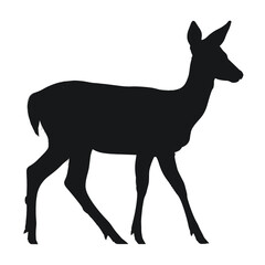 Obraz premium Deer silhouette deer illustration wildlife vector