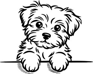 Adorable Puppy Peeking Over Edge - Vector Illustration