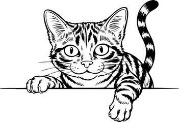 Cute Cat Peeking Over Edge, Black and White Vector Illustration