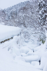 大雪が降った氷ノ山の風景 鳥取県 若桜町