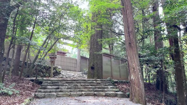 静寂の森の神域への階段