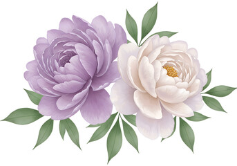 Watercolor Duo of Purple and Cream Peonies Isolated

