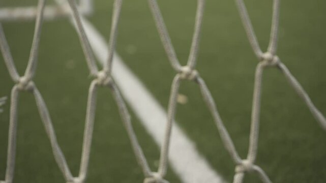 Soccer field's touchline viewed through goal net, revealing textured mesh and boundary lines with selective focus and blurred background