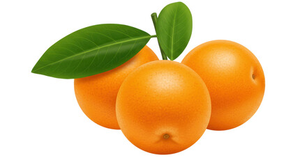 Isolated Fresh Oranges with Green Leaves