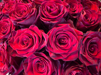 Extreme close-up of fresh red roses showing detailed petals and rich texture, tightly arranged in a bouquet.