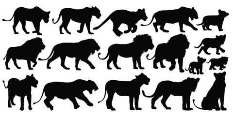 The set silhouettes of African lions.
