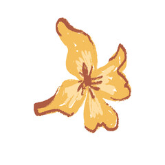 Fototapeta premium orange flower isolated on white background