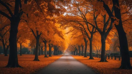 Fototapete Seasonal autumn nature backdrop showcasing a park landscape with colorful trees © CryptoCanvas