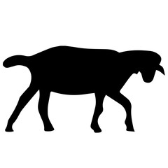 Vector illustration of goat silhouette