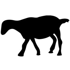 Vector illustration of goat silhouette
