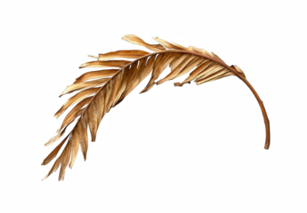 Curved Arrows Facing Each Other