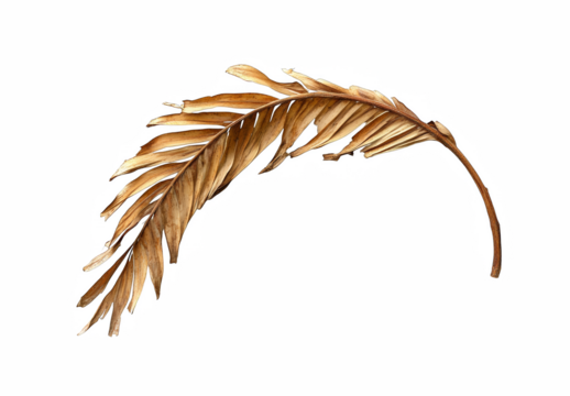 Curved Arrows Facing Each Other