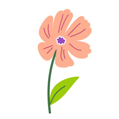 Simple vector flower illustration on transparent background