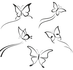 set of vector butterflies