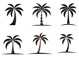 Fototapeta premium palm trees silhouettes