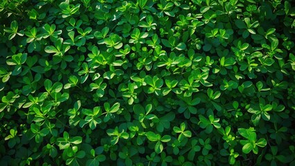 A natural background featuring bright green leaves and lush foliage