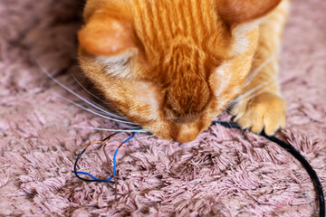 A playful cat is having fun with a wire on a soft pink carpet