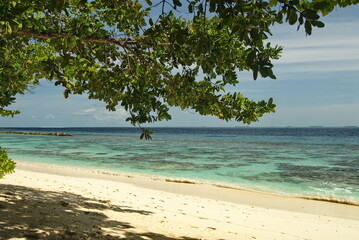 Tropical beach with pristine sand and clear turquoise waters in the Maldives 
