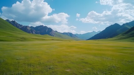Summer scenery of Kalajun grassland in Ili Kazakh Autonomous Prefecture, Xinjiang, China