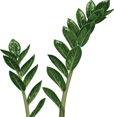 Green Leaves Branch Vector Illustration with Detailed Veins and Natural Shape 