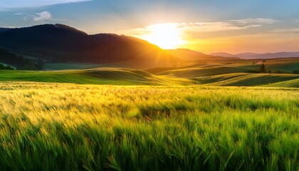 Fototapeta premium A stunning sunset casts a golden hue over rolling green hills, showcasing the beauty of nature in a serene landscape.