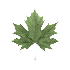 Fototapeta premium Green leaf centered in colorful striped abstract background