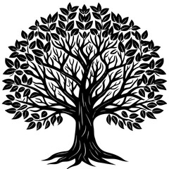 Obraz premium Rubber Tree