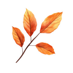 Obraz premium Autumn leaves branch vibrant color background abstract art