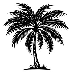 palm tree silhouette