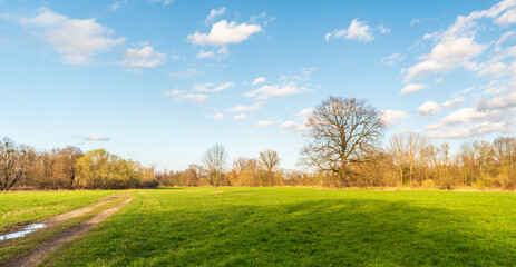 Early springtime countryside with meadow with trail and trees around near Ostrava city in Czech republic