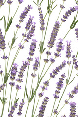 Naklejka premium lavender flowers seamless pattern