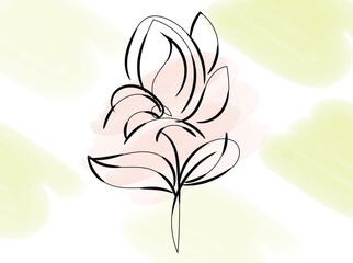 Elegant Line Art Flower with Watercolor Background