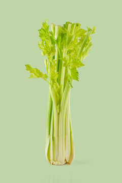 Fresh green celery standing on light green background