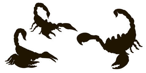 Scorpio, a vector image. Black and white drawing, silhouette.