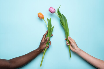 Close-up of diverse hands holding colorful tulips