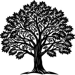 Obraz premium Sandalwood tree