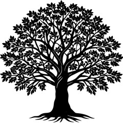 Obraz premium Sandalwood tree