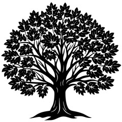 Sandalwood tree